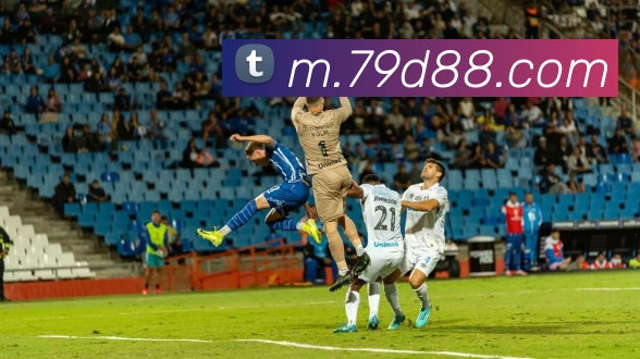 体育App